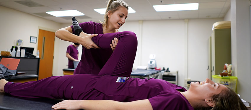 a physical therapist helps a client 